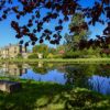 Bolwick Hall - National Garden Scheme (NGS)