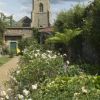 The Bishop's House - National Garden Scheme (NGS)