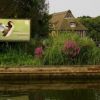 Ranworth Broad & St Benet's Abbey - evening boat trip