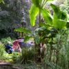 Plantation Gardens - Heritage Open Day